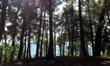 Santa Elena: Emocionantes aventuras extremas para los amantes de la adrenalina